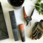 black pruning shears beside green gloves