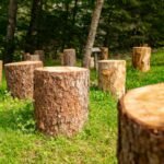 brown tree trunk on green grass field
